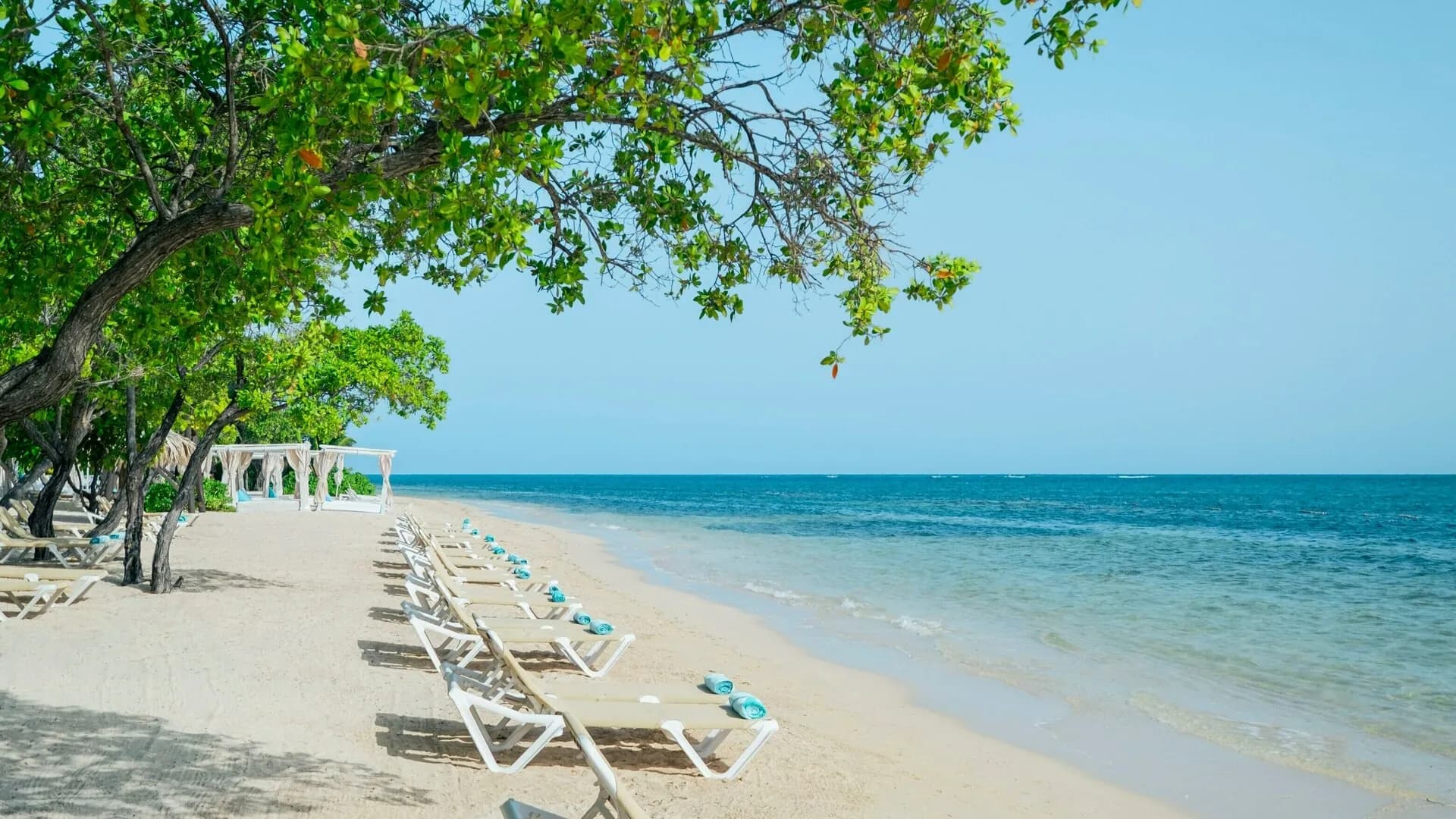 Loungers under the sea grape trees on Rose Hall Beach
